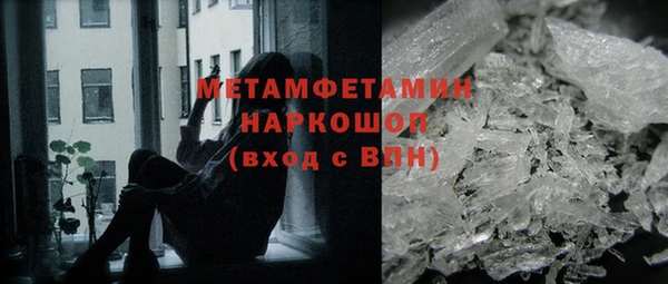крисы Новозыбков