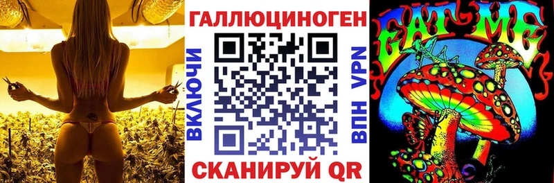 Галлюциногенные грибы мухоморы Почеп