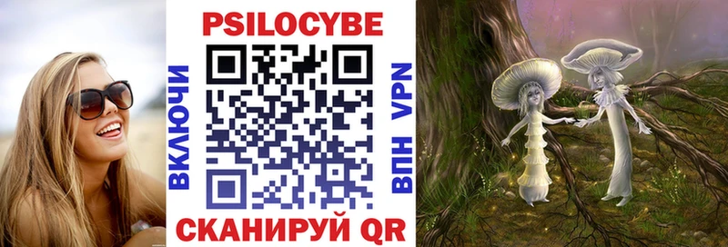 Галлюциногенные грибы Psilocybe  OMG онион  Почеп 